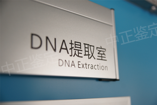重庆户籍亲子鉴定的流程,