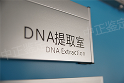 重庆户籍亲子鉴定的流程